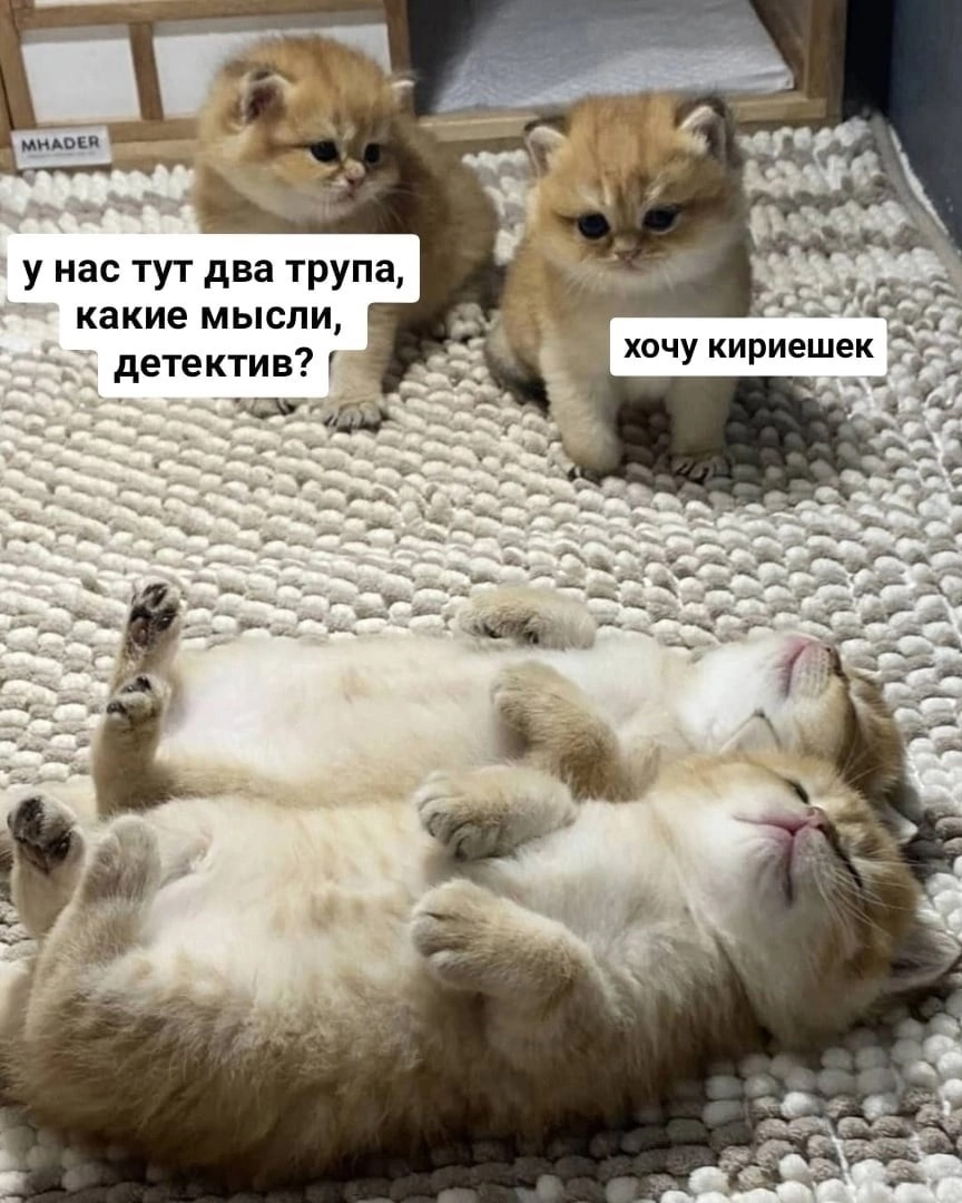 1679370563659.png