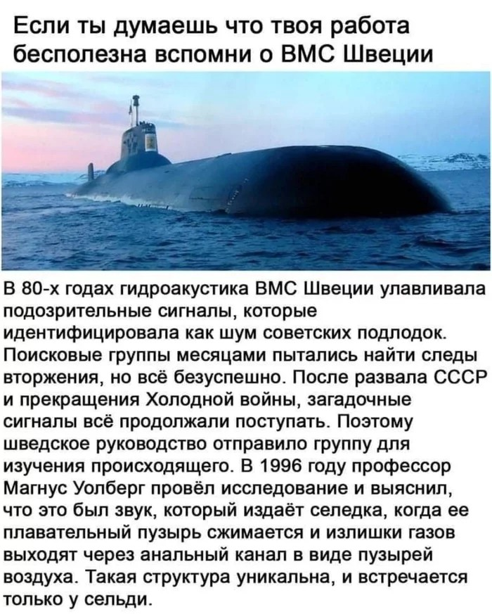 1679964569484.png