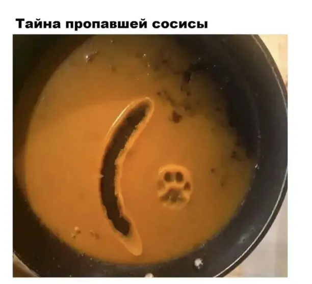 1680221524964.png