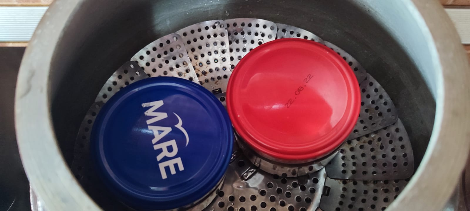 1680477722887.png