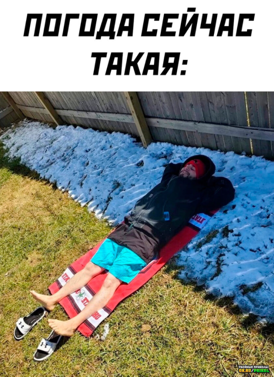 1681088341981.png