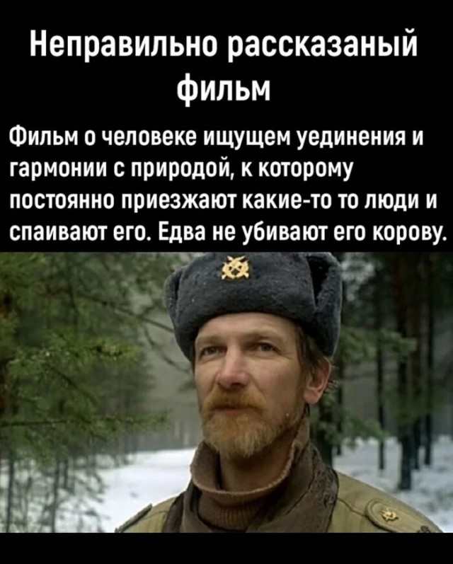 1686041639245.png