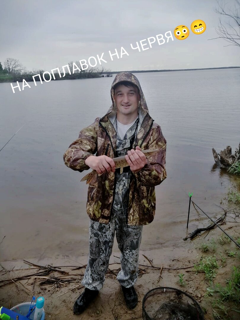 1686368886769.jpg