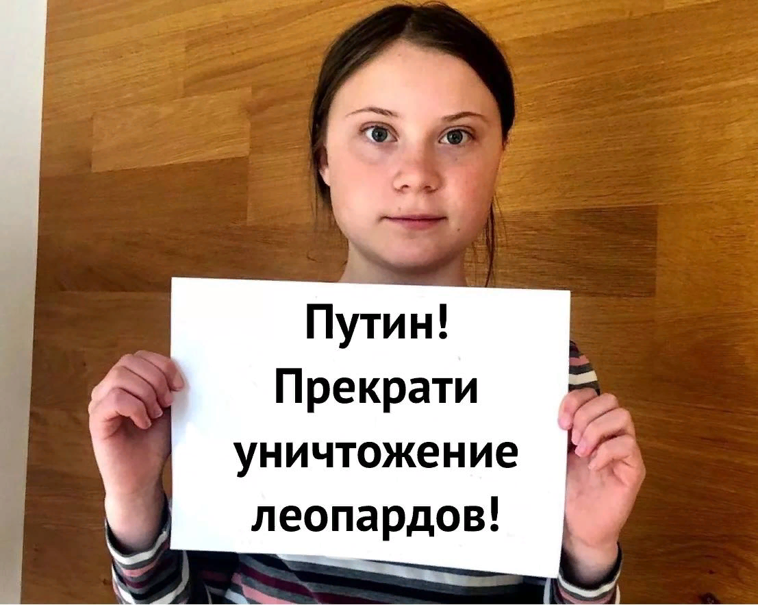 1686384744231.png