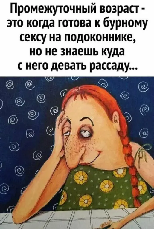 1686639050083.png