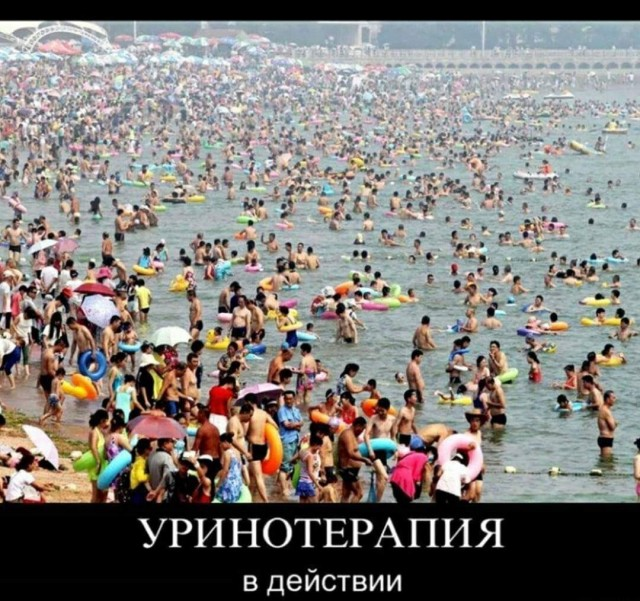 1686862465207.png