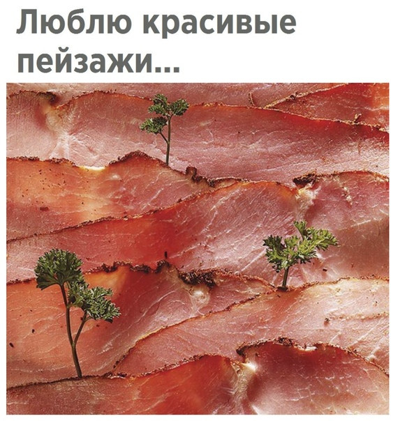 1686863068661.png