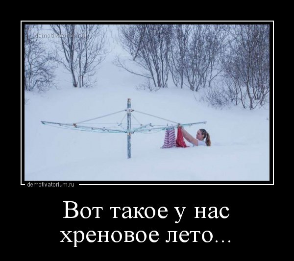1688456947_kartin-papik-pro-p-kartinki-vot-takoe-khrenovoe-leto-smeshnie-9.jpg