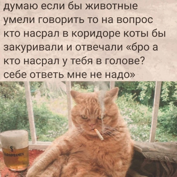1688688923254.png