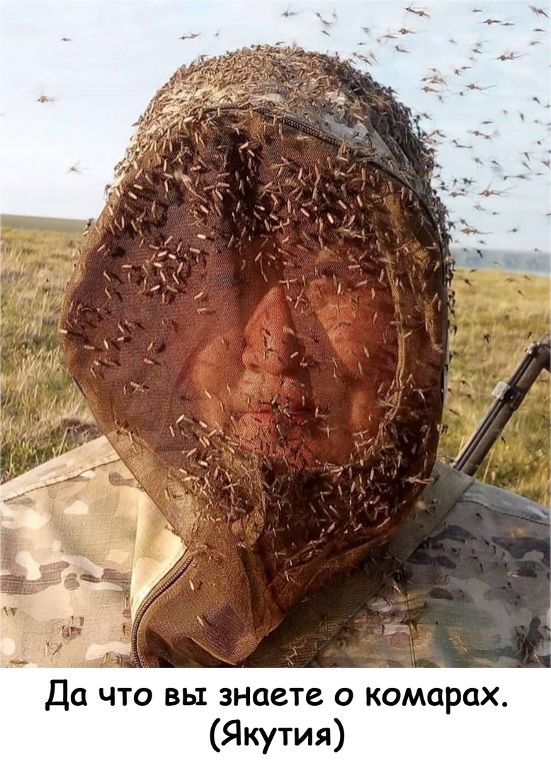 1689034894212.png