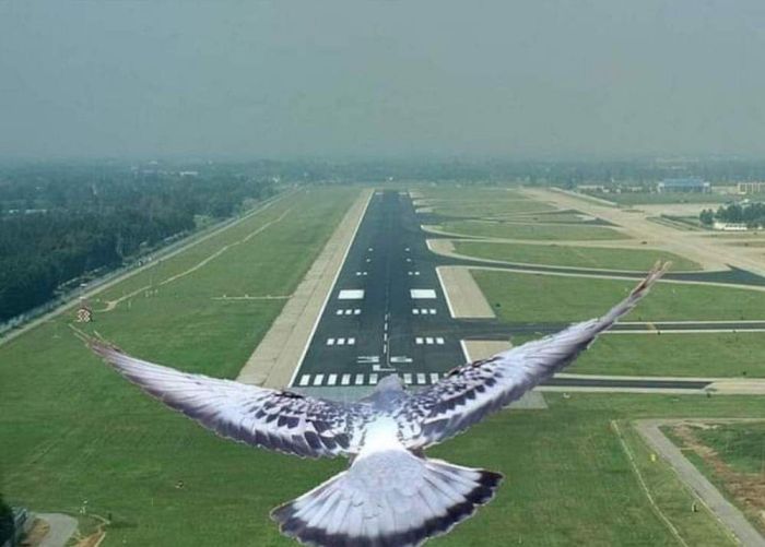 168969691420.jpg