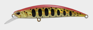 1691404266524.png