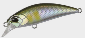 1691404408065.png