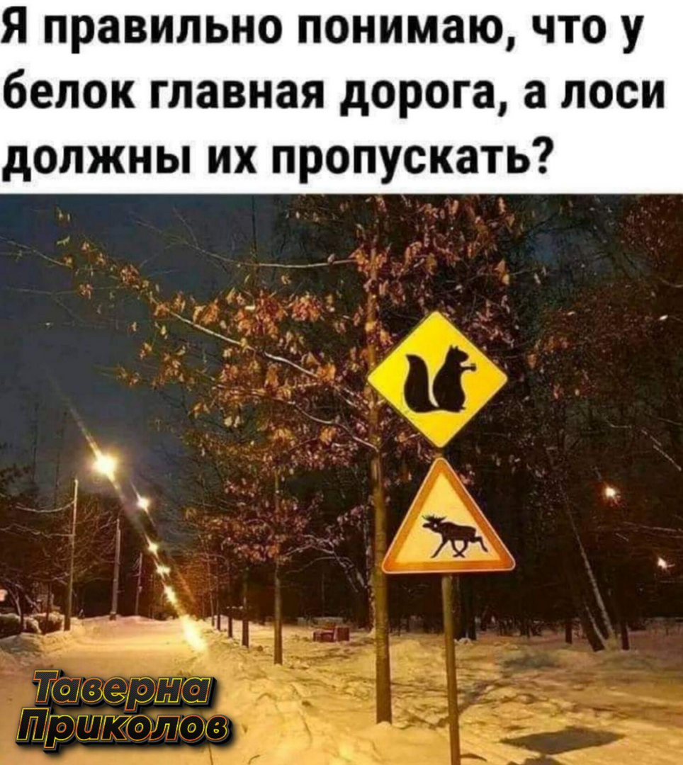 1700537473548.png