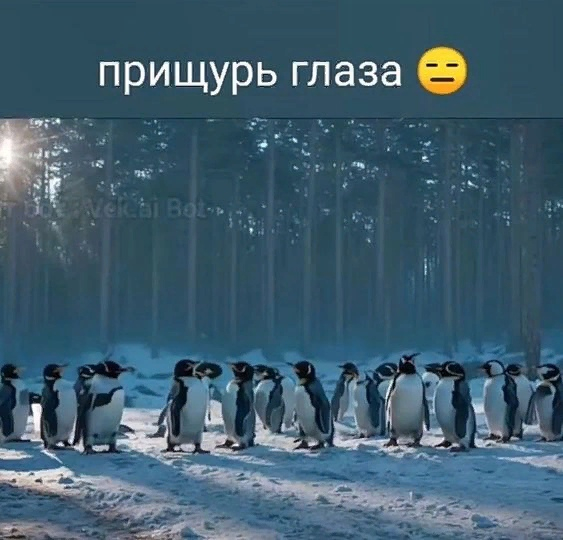 1703457925278.png