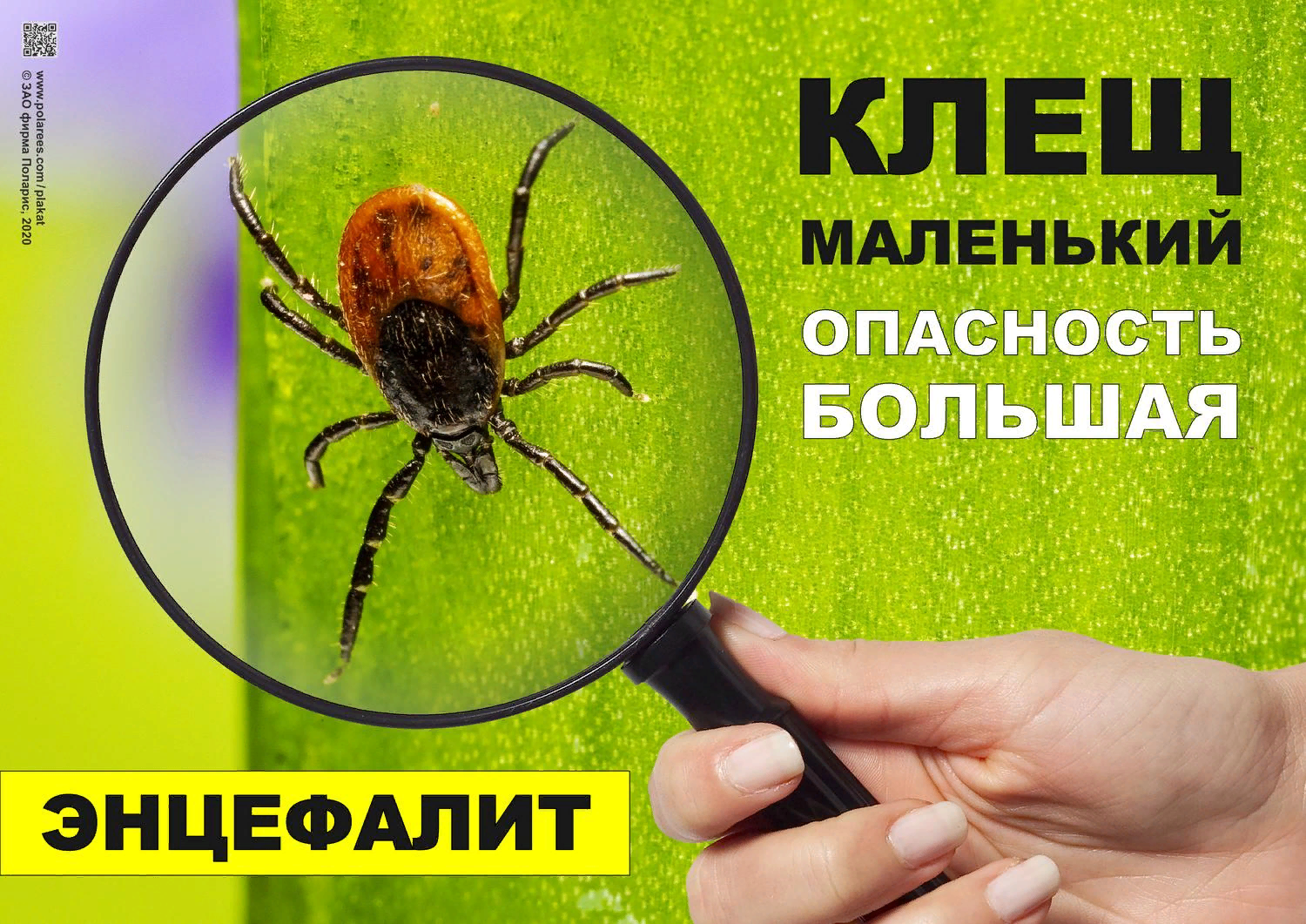 1710380176035.png