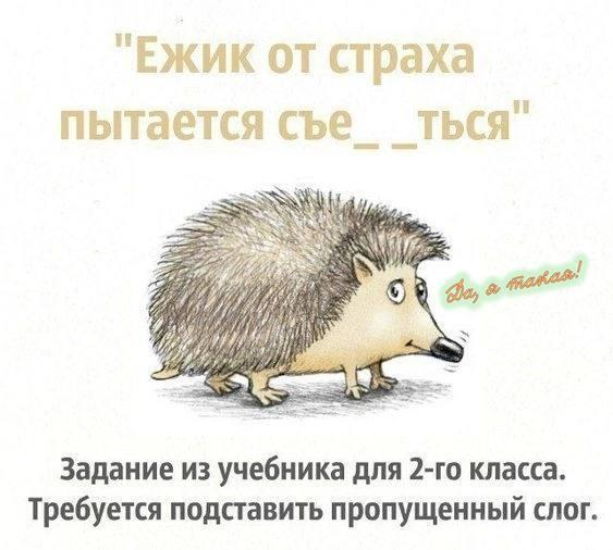 1736810965841.png