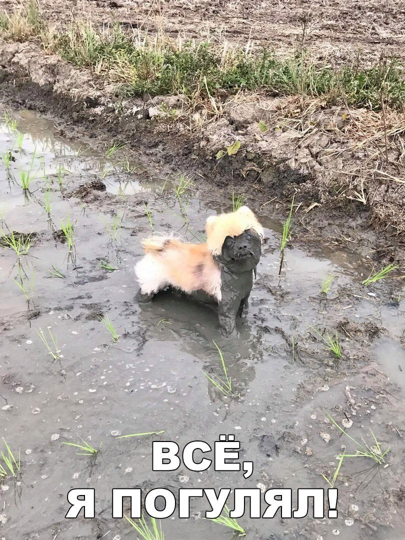 1738288891024.png