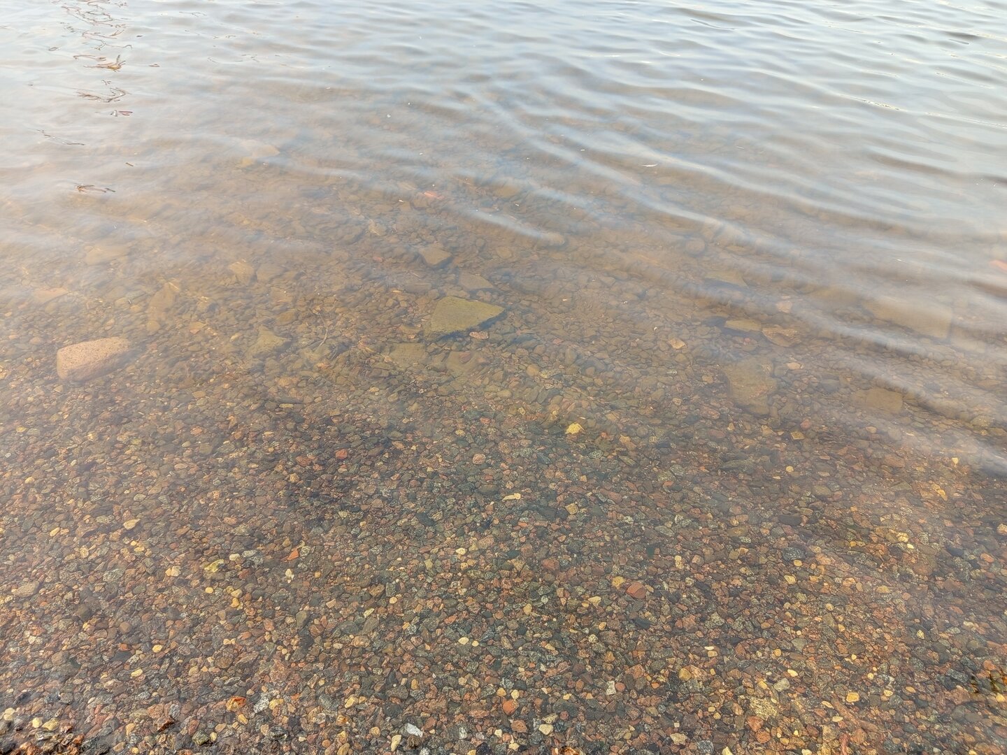 1745073426380583059269810269783.jpg