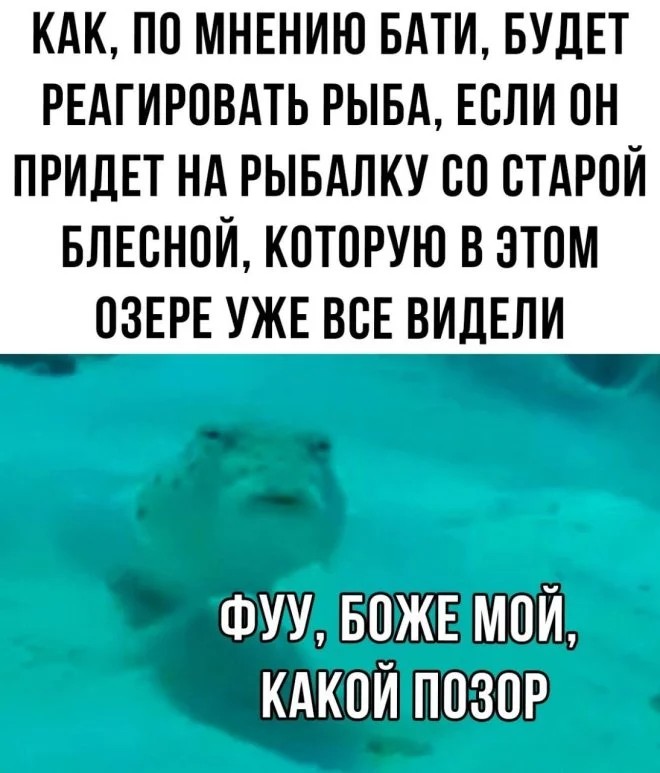 1746267542751.jpeg