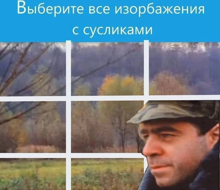 1747262147575.png