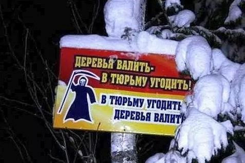 174729.231071.8375.JPG