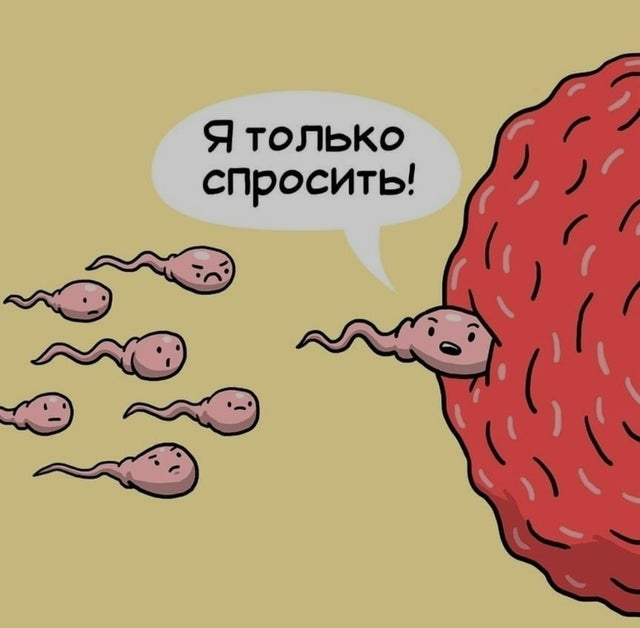 1748175907540.png