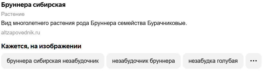 1748999158453.png