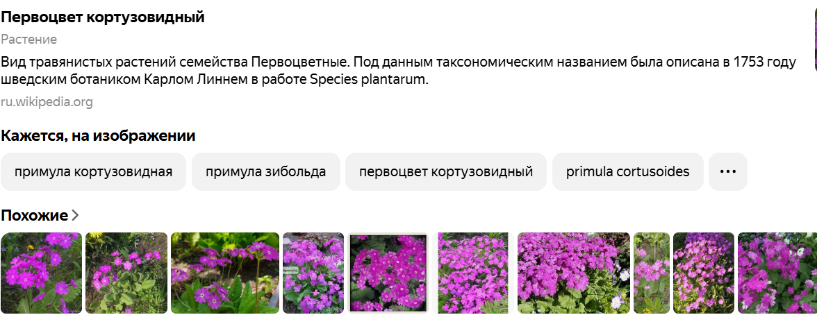 1748999200542.png