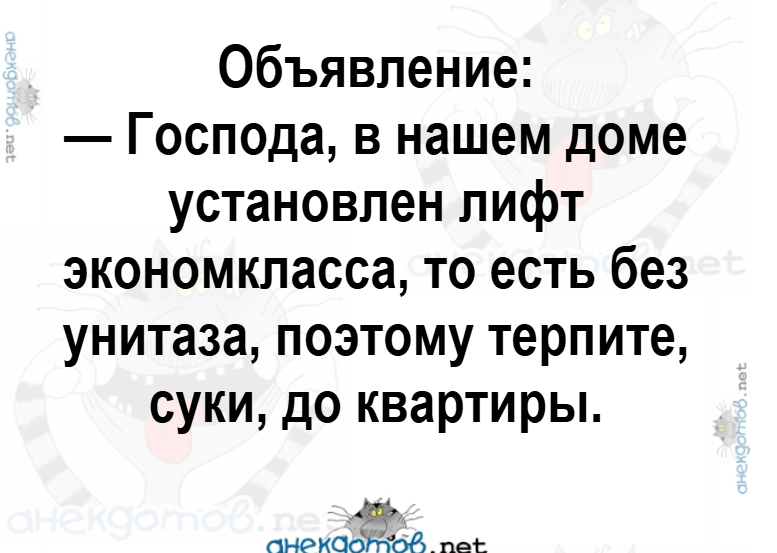 1749192859546.png