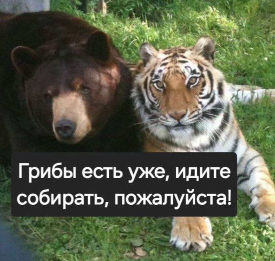 1754812297149.png