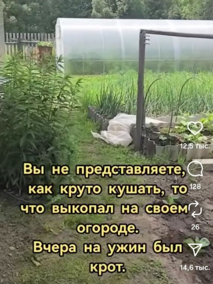 1755583616431.png