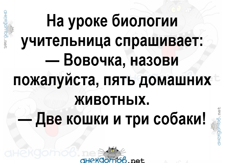 1757035368042.png