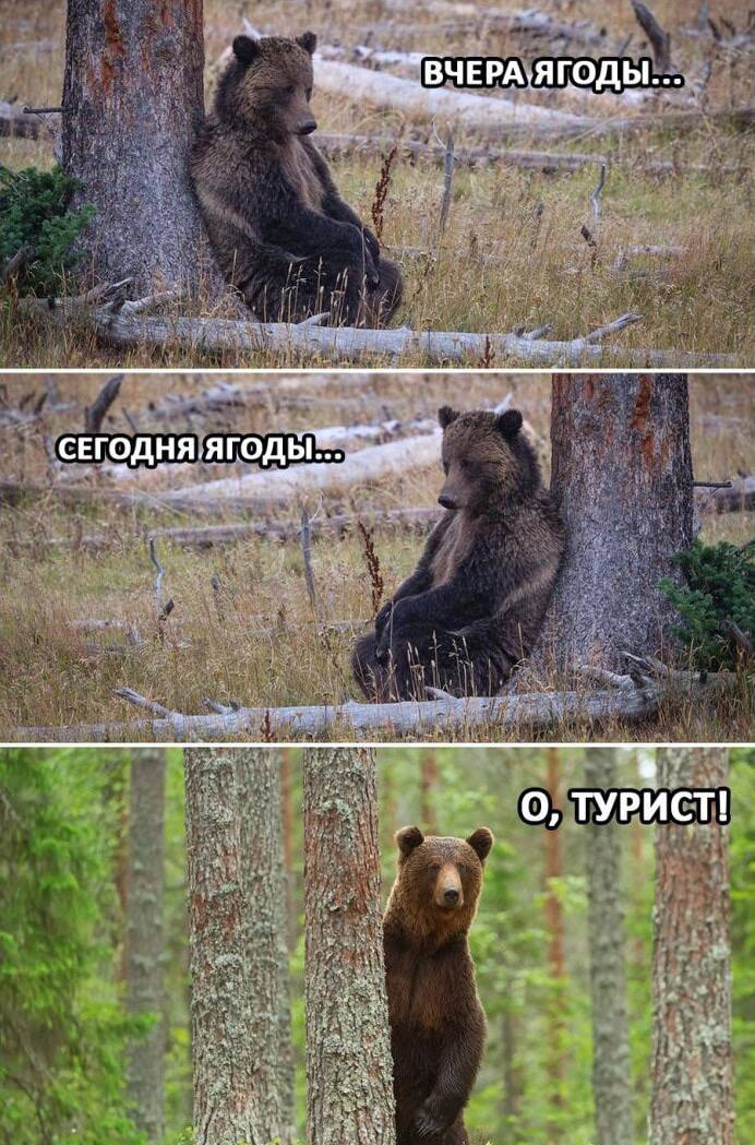 1757557076789.png