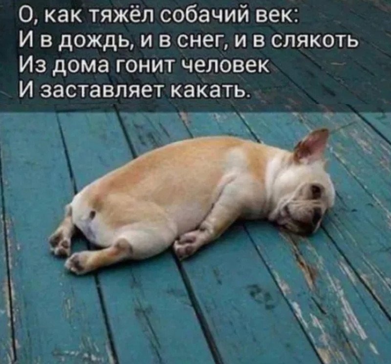 1760311474379.png