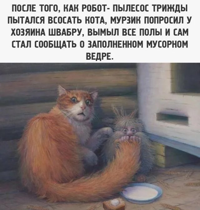 1774136679411.jpeg