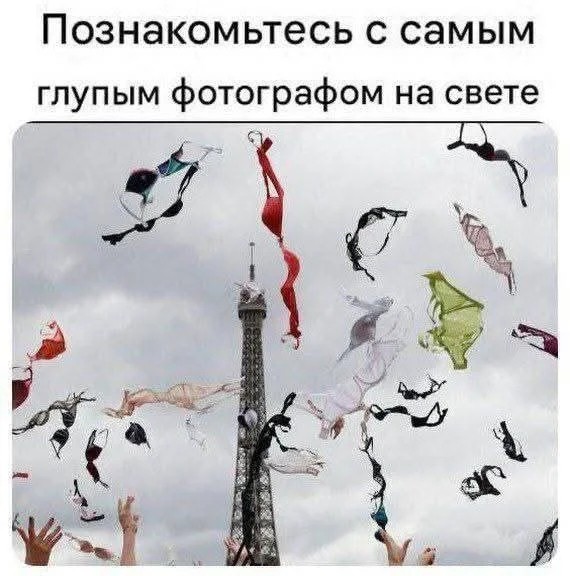 17752086480512528655524035409096.jpg
