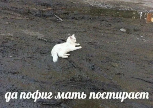 1776664984127.jpeg