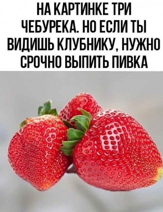17776280612554759913415549511612.jpg