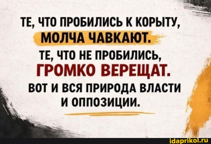 1777676393356.png