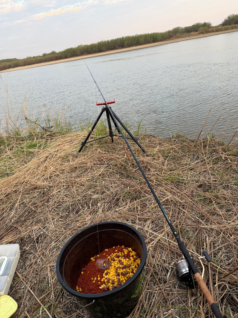 1778477101506.png