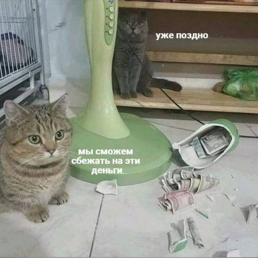 1779950974246.png