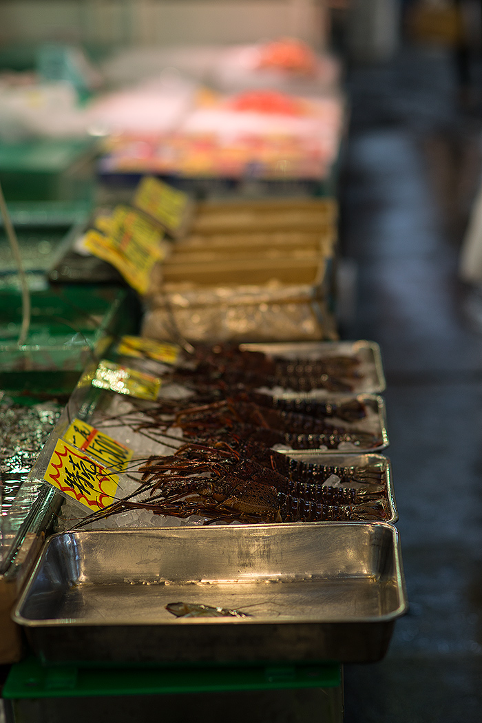 178.jpg