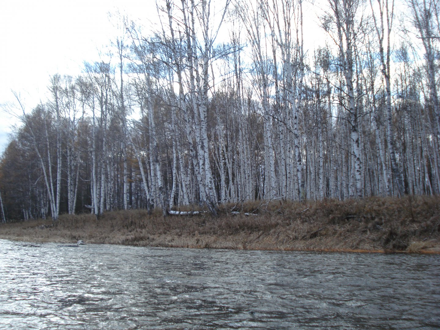 178.JPG