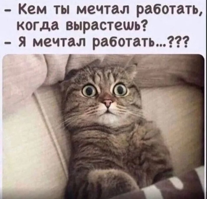 1781427119680.jpeg