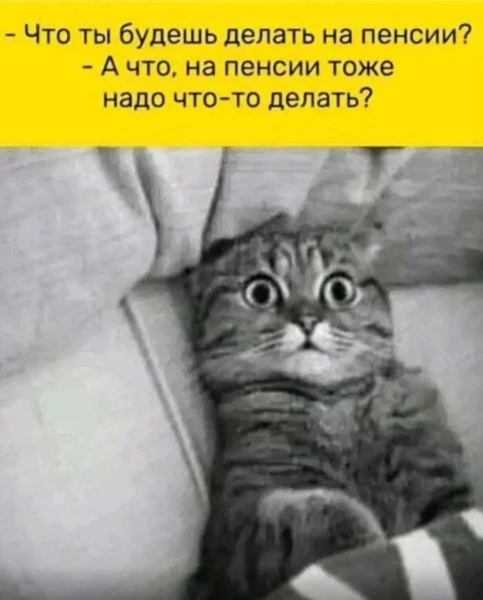 1781427504303.jpeg
