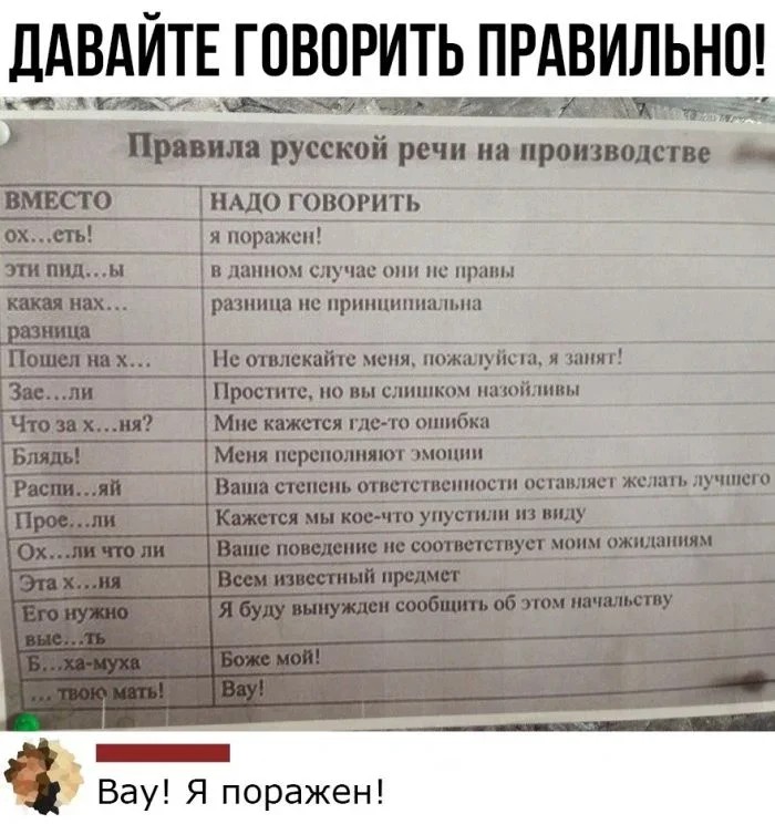 1781643858046.jpeg