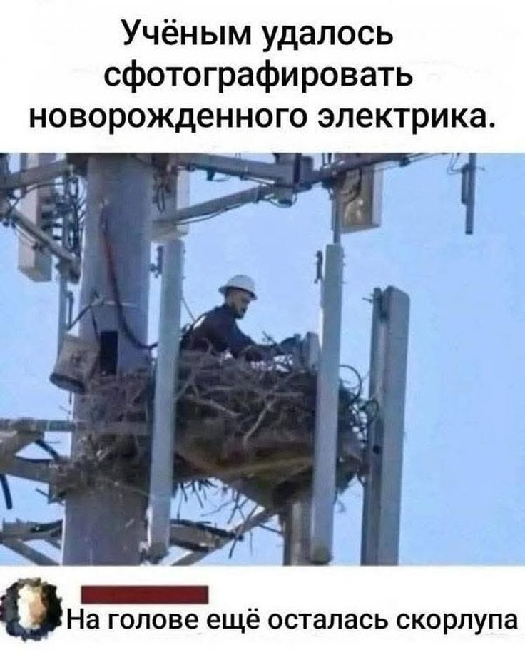 1782801528855.png