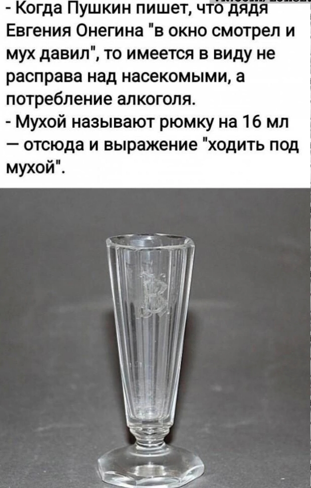 1784621026544.jpeg