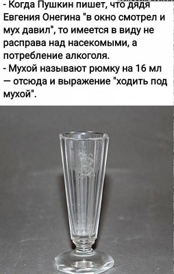 1784621026544.jpeg